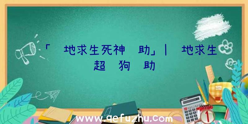 「绝地求生死神辅助」|绝地求生超级狗辅助